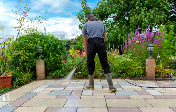 Best Fence Cleaning  in Saks, AL